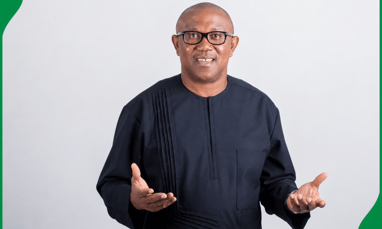 NDC Presidential Candidate, Peter Obi