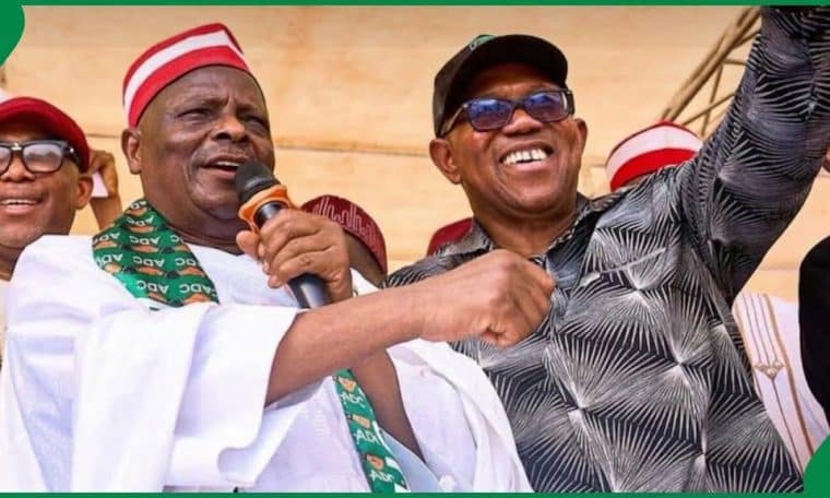 Rabiu Kwankwaso and Peter Obi