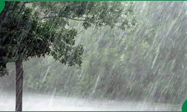 Rainstorm
