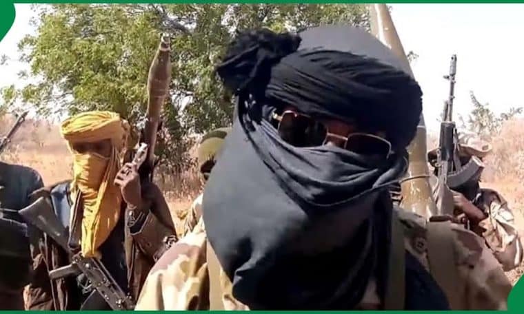 Terrorists