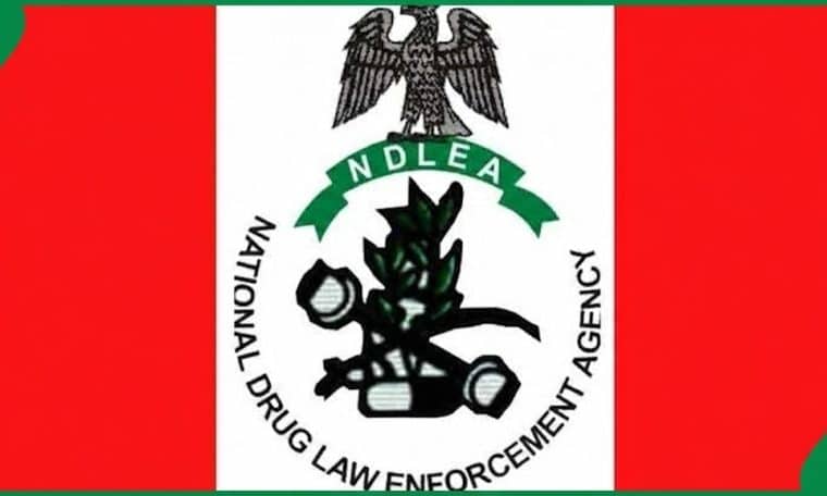 NDLEA Logo