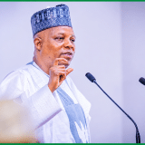 Vice President of Nigeria, Kashim Shettima