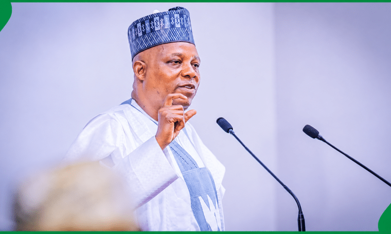 Vice President of Nigeria, Kashim Shettima