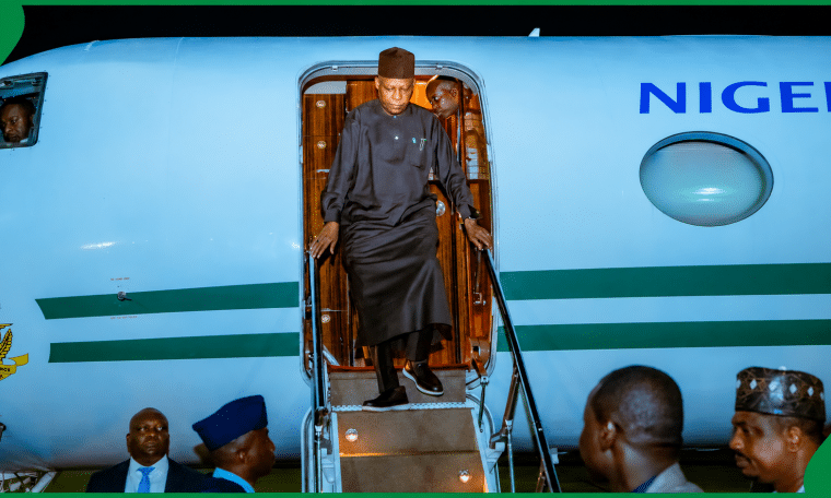 Vice President of Nigeria, Kashim Shettima