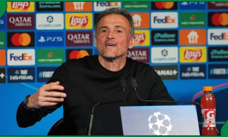 Paris Saint-Germain head coach Luis Enrique