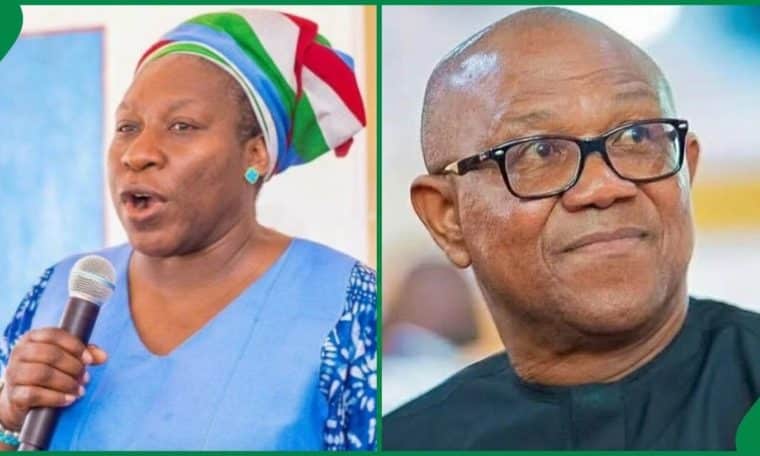 Iyabo Obasanjo and NDC presidential candidate, Peter Obi