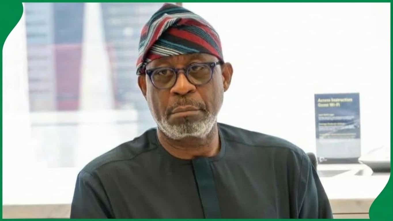 Minister of Solid Minerals Development, Dele Alake,