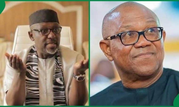 Rochas Okorocha and NDC presidential candidate, Peter Obi