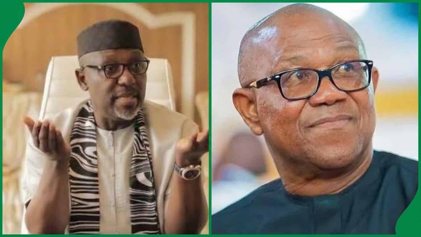 Rochas Okorocha and NDC presidential candidate, Peter Obi