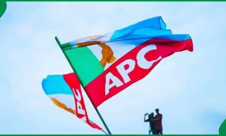 APC flag