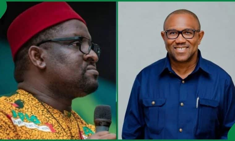 APGA Chieftain and Peter Obi