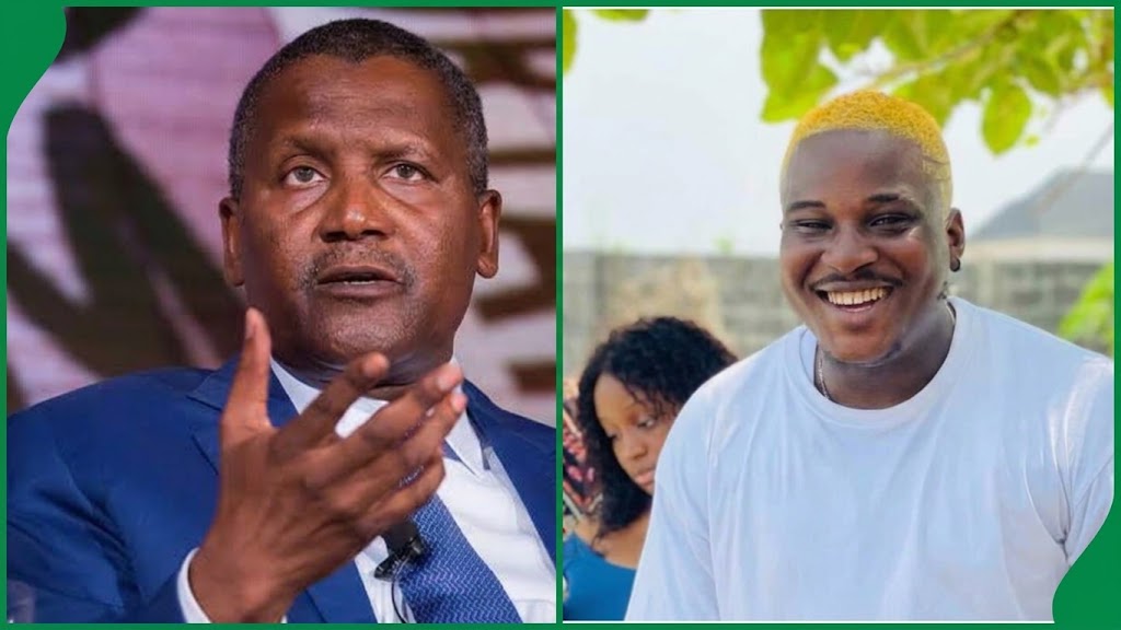 ‘Anybody Can Be Anybody’: Dangote ‘Accepts’ Content Creator Bae U Barbie’s Interview Invitation
