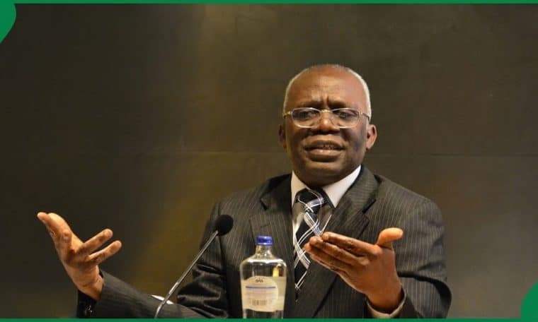 Femi Falana
