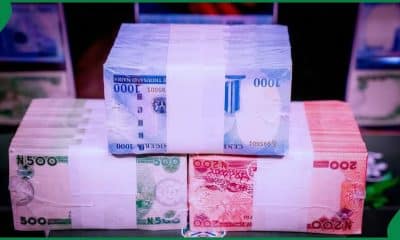 New Naira Notes