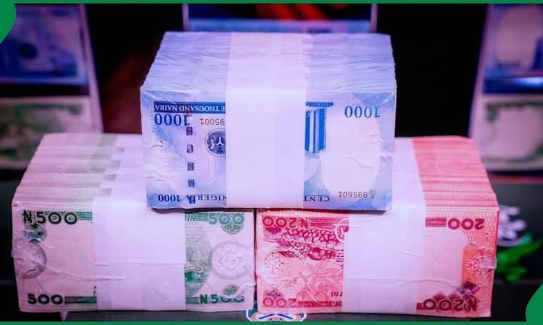 New Naira Notes