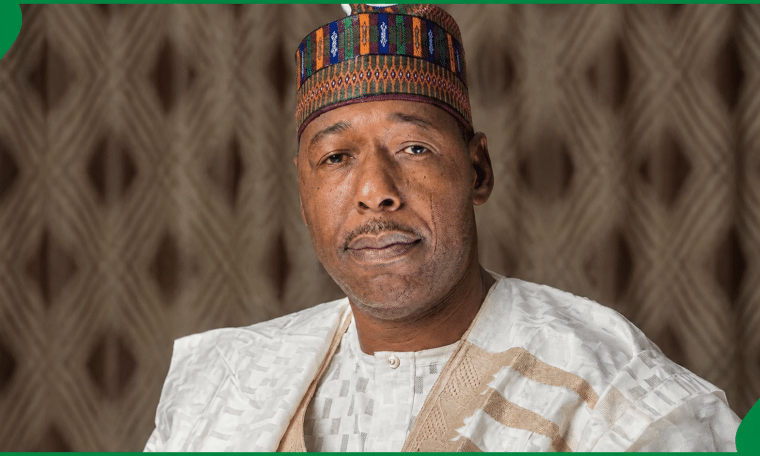Governor of Borno State, Babagana Zulum