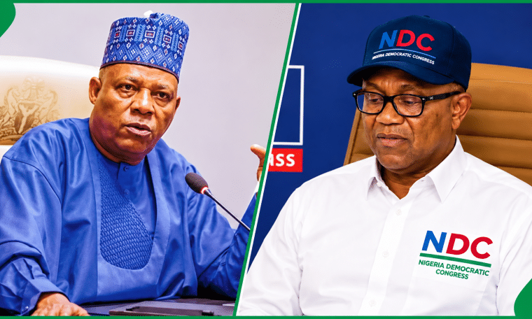 Kashim Shettima and Peter Obi