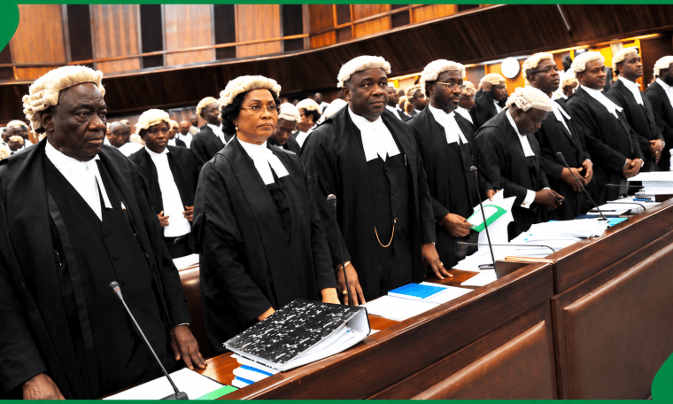 A cross section of lawyers